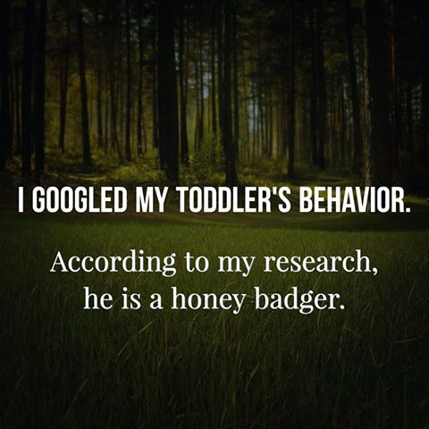 15073363_1813615855526545_7326026309882561007_n