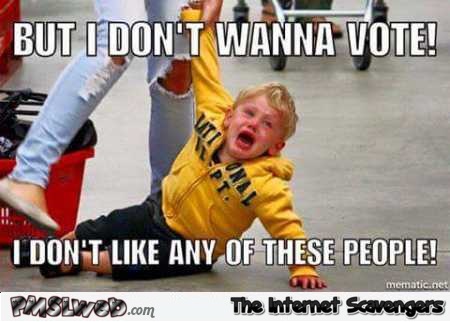 24-i-don-t-wanna-vote-funny-meme
