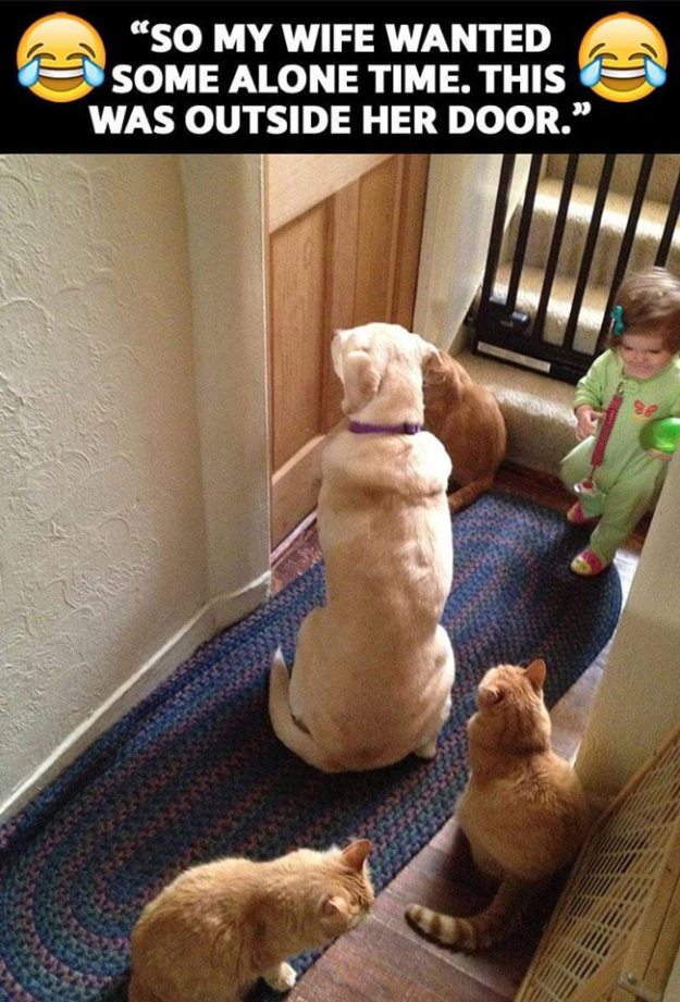 15741269_10154878537193684_6315496837195700078_n