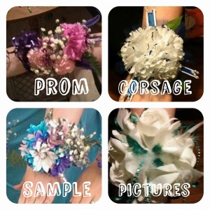 13094158_496686067192842_2478757552109983239_n