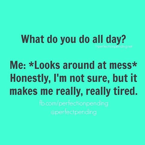 16473265_10210366166423011_5219094727936702349_n