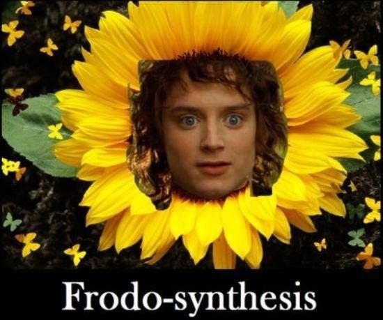 enhanced-25565-1422554734-15